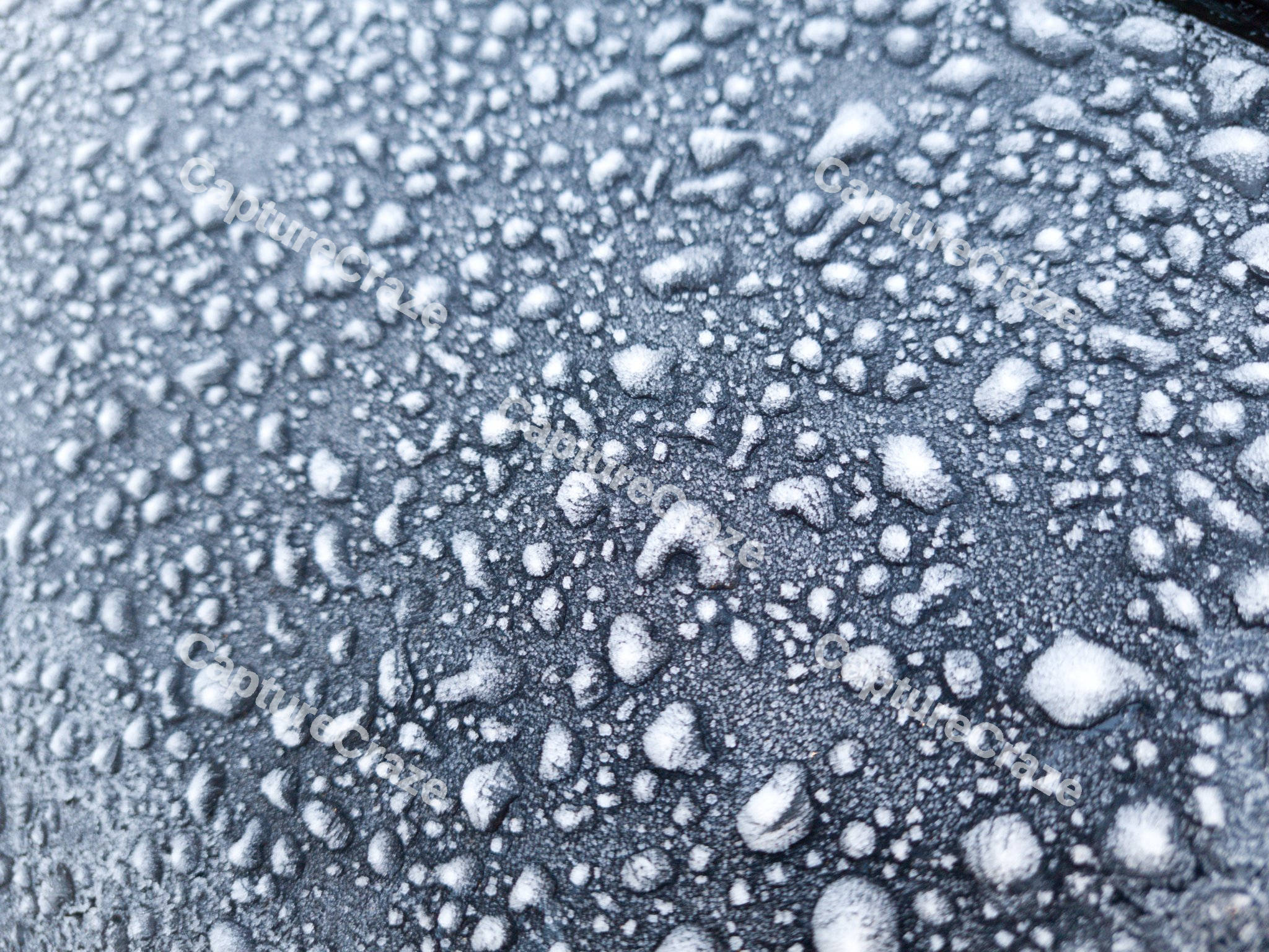 Frozen water drops